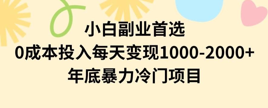 小白副业首选，0成本投入，每天变现1000-2000年底暴力冷门项目【揭秘】-985网创