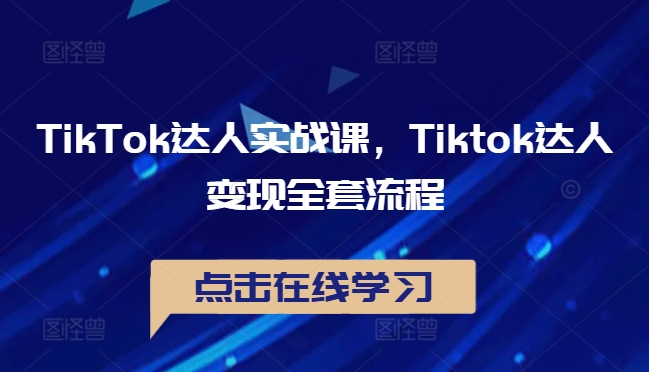 TikTok达人实战课，Tiktok达人变现全套流程-985网创
