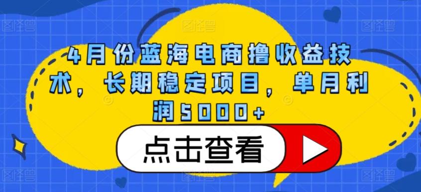 4月份蓝海电商撸收益技术，长期稳定项目，单月利润5000+【揭秘】-985网创