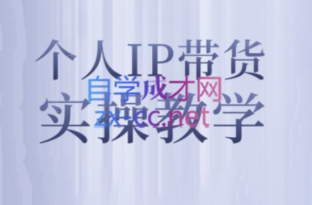 萌神姐姐·个人IP真人出镜短视频实操课-985网创