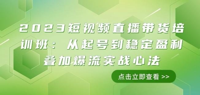 2023短视频直播带货培训班：从起号到稳定盈利叠加爆流实战心法（11节课）-985网创