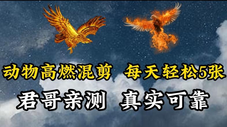动物超燃混剪，每天轻松5张，剪辑简单大家爱看【揭秘】-985网创