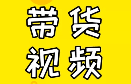 芒果老师·教你做抖音短视频和直播带货-985网创