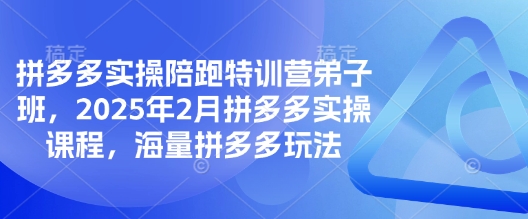 拼多多实操陪跑特训营弟子班，2025年2月拼多多实操课程，海量拼多多玩法-985网创