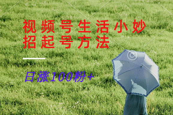 视频号生活小妙招分享赛道， 起号涨粉新方法，日涨100粉-985网创
