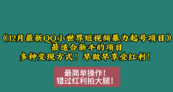12月最新QQ小世界短视频暴力起号项目，最适合新手的项目，多种变现方式-985网创