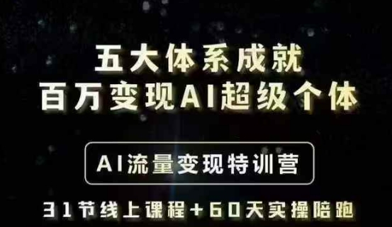 五大体系成就百万变现AI超级个体- AI流量变现特训营，一步一步教你一个人怎么年入百W-985网创
