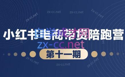 盗坤·小红书电商带货陪跑营(第十一期)-985网创
