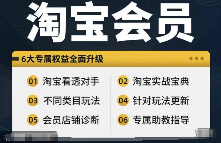淘宝会员【淘宝所有课程，全面分析对手】，初级到高手全系实战宝典-985网创