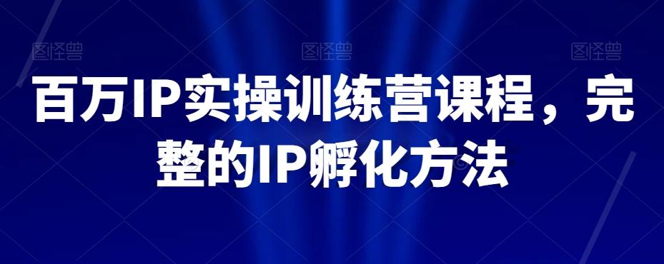 百万IP实操训练营课程，完整的IP孵化方法-985网创