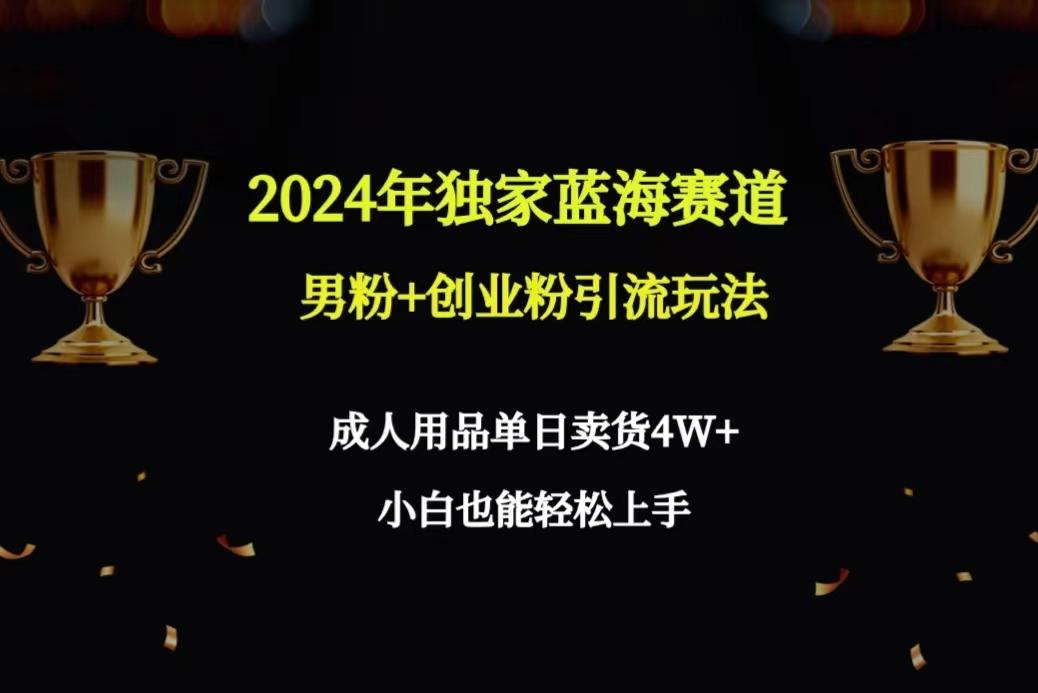 2024年独家蓝海赛道男粉+创业粉引流玩法，成人用品单日卖货4W+保姆教程-985网创