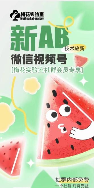 梅花实验室2024年AB技术视频号AB合成破解版-985网创