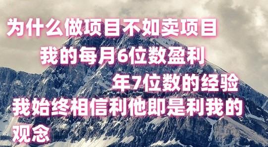做项目不如卖项目，每月6位数盈利，年7位数经验-985网创