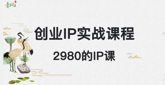 外边卖2980的创业IP课程，做私域月入5w+-985网创
