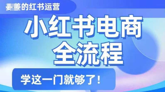 小红书电商全流程，精简易懂，从入门到精通，学这一门就够了-985网创