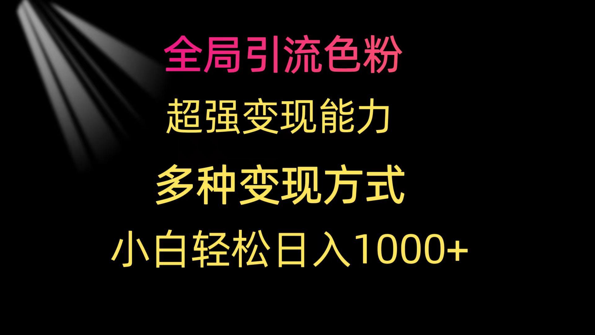 (9680期)全局引流色粉 超强变现能力 多种变现方式 小白轻松日入1000+-985网创