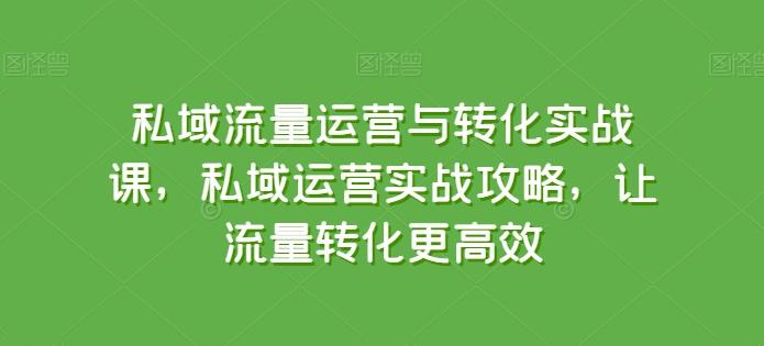 私域流量运营与转化实战课，私域运营实战攻略，让流量转化更高效-985网创
