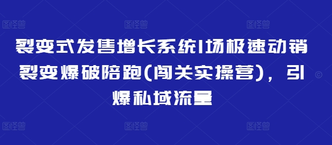 裂变式发售增长系统1场极速动销裂变爆破陪跑(闯关实操营)，引爆私域流量-985网创