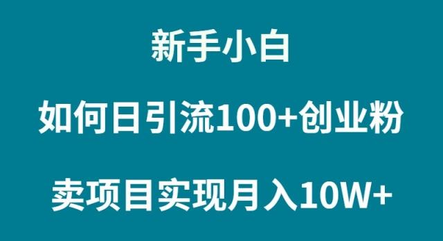 (9556期)新手小白如何通过卖项目实现月入10W+-985网创
