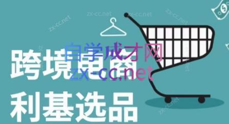 阿甘·2024年跨境电商选品案例-985网创