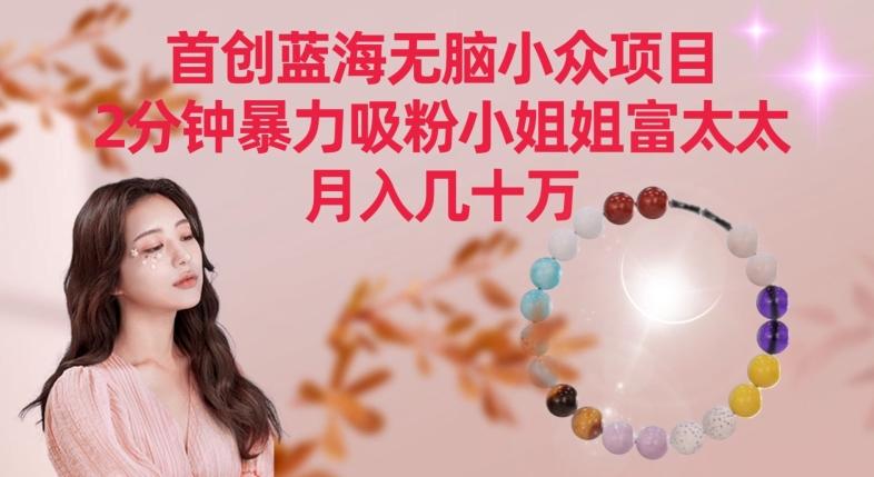 首创蓝海无脑小众项目，2分钟暴力吸粉小姐姐富太太，月入几十万【揭秘】-985网创