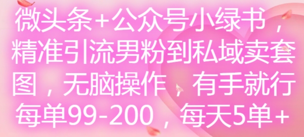 微头条+公众号小绿书，精准引流男粉到私域卖套图，无脑操作，有手就行，每单99-200，每天5单-985网创