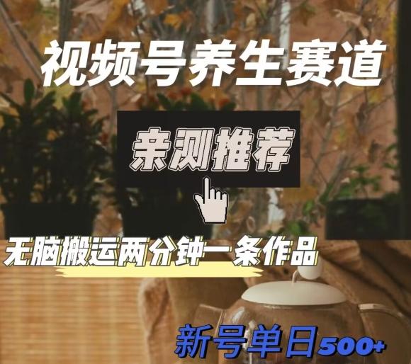 视频号养生赛道暴力掘金，无脑搬运，两分钟一条作品-新日单入500+-985网创