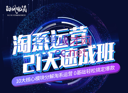 淘系运营21天速成班(更新24年6月)-985网创