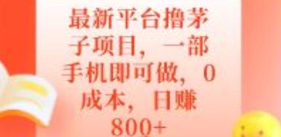 最新平台撸茅子项目，一部手机即可做，0成本，日赚800+-985网创