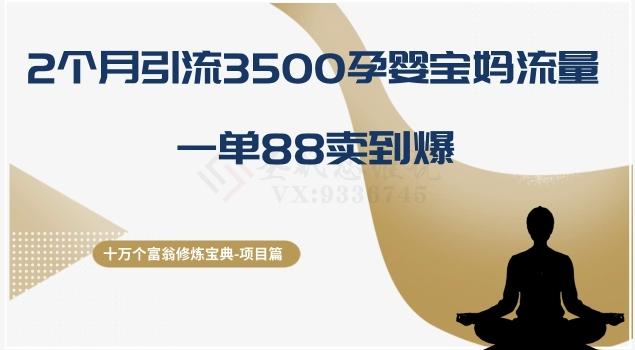 十万个富翁修炼宝典之13.2个月引流3500孕婴宝妈流量，一单88卖到爆-985网创