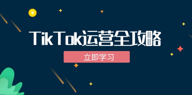 TikTok实战运营全攻略：从下载软件到变现，抖音海外版实操教程-985网创