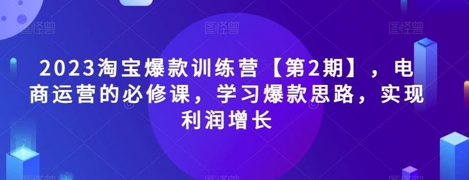 2023淘宝爆款训练营【第2期】，电商运营的必修课，学习爆款思路，实现利润增长-985网创