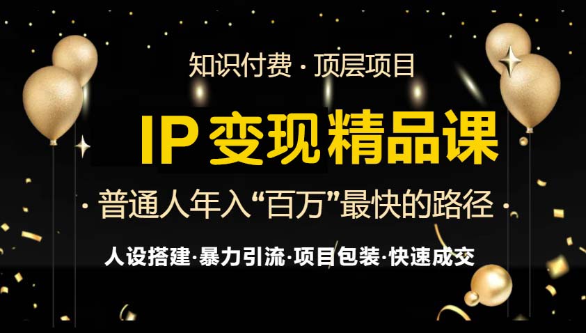 IP变现最新精品课程，知识付费全流程+最强引流术+小白避坑指南-985网创