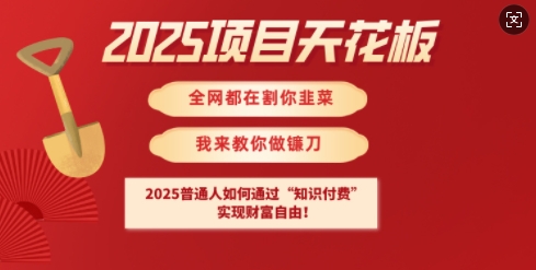 2025项目天花板普通人如何通过知识付费，实现财F自由【揭秘】-985网创