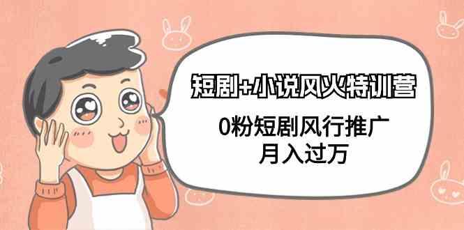 小说+短剧风火特训营，0粉短剧小说风行推广，实现月入过万-985网创