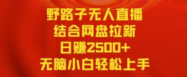 野路子无人直播结合网盘拉新，日赚2500+，小白无脑轻松上手【揭秘】-985网创